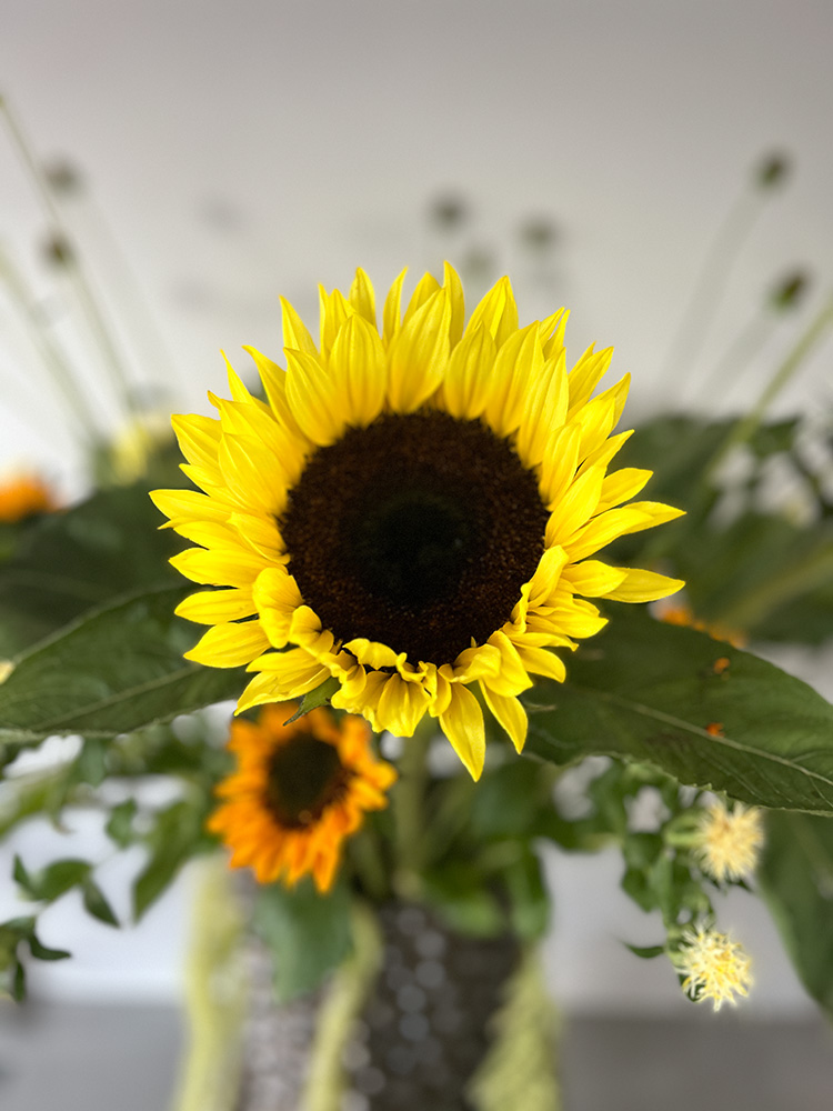 Zonneschijn in brons